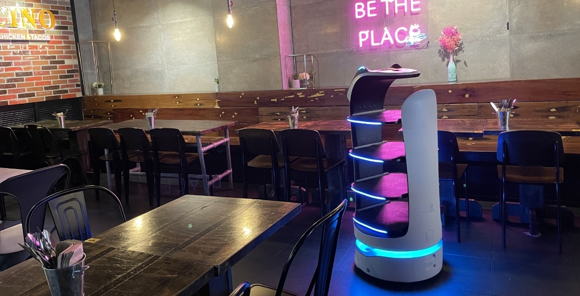 bellabot restaurant and hospitality robot